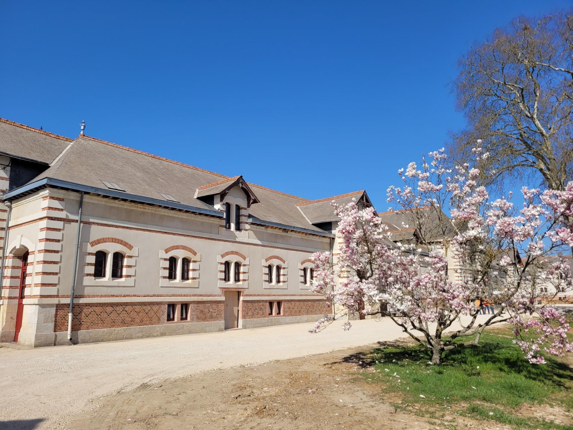 Haras de Blois